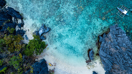 Aerail view of green forest and the sea. natural ecosystems of forests and oceans. concept of natural forest conservation