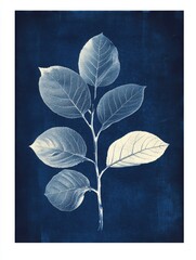 Artistic cyanotype illustration of a botanical plant in deep blue tones with vintage aesthetic
