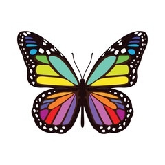 Hand drawn Rainbow Butterfly illustration vector