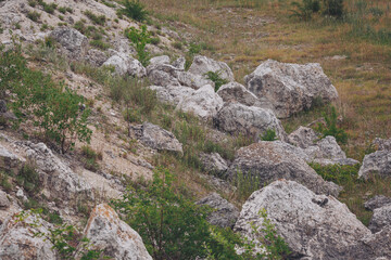 Rocky ground landscape. The natural texture of a mountain cliff with cracks and vegetation. Textured mountainside. Textured background of a mountain rock