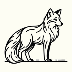 Fox Sketch Drawing Line Art Animal Wildlife