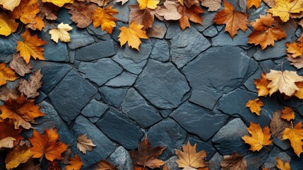 A sophisticated autumn theme with crimson red leaves gracefully placed on a dark navy slate background, creating a dramatic and rich composition