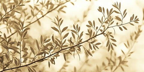 Naklejka premium Branches with delicate leaves create a soft silhouette against a warm background in a natural setting