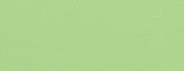 Light green background with a subtle textured pattern. The background is smooth and green, ideal for fresh, vibrant designs. Minimal plain paper texture vector background