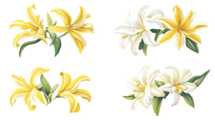 Ylang Ylang Floral Art on Clear Background Generative AI