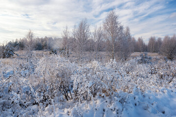 A frosty winter morning in Russia