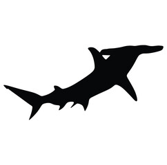 Hammerhead shark, vector