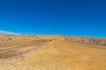 Fototapeta premium Vast Fields of Testour: Natural Beauty in Beja, Tunisia