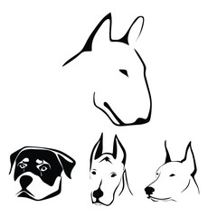 DOG VECTOR. PIT BULL VECTOR