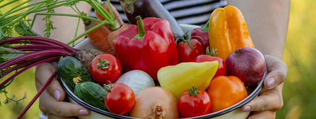 Female farmer holding bowl with fresh vegetables, harvesting in garden