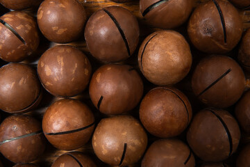 Freshly harvested macadamia nuts displayed together on a wooden surface showcasing their natural texture and color