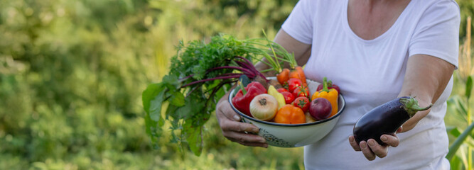 Woman holding bowl of fresh vegetables, harvesting in garden