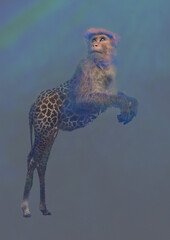 Die Gir Affe