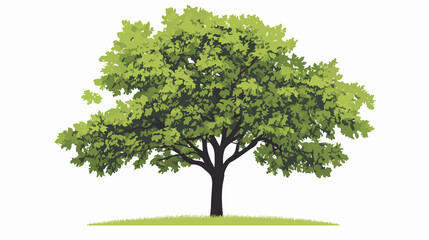 Obraz premium Detailed Black Walnut Tree Continuous Line Art Vector Illustration