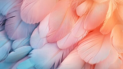 "Feathers of Serenity: A Pastel Harmony"