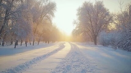 Fototapeta premium Sunlit snowy path through winter trees at sunrise.