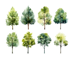 Vibrant green trees watercolor nature high fidelity artistic perspective isolated on transparent background png