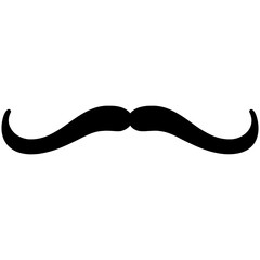 Mustache silhouette icon