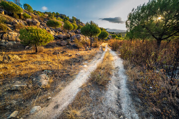 The stream pathway in Cadalso de los Vidrios