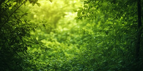 Fototapeta premium Vibrant green growth during the summer season showcases the beauty of nature s resilience, highlighting the lush greenery and vitality associated with green growth in summer.
