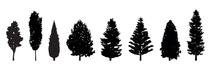 Silhouettes of various tree shapes in black. Tree silhouettes include pine, fir, and cypress. Different tree silhouettes for design use. Silhouette forest elements, vector set.