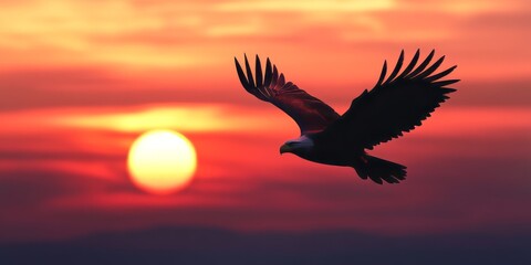 Eagle silhouette soaring gracefully against a stunning sunset backdrop, capturing the majestic beauty of an eagle in flight as the sun sets in the horizon.