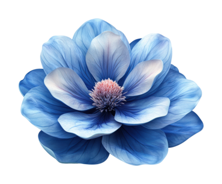 Blue flower icon on floral design graphic minimalist setting close-up aesthetic appeal isolated on transparent background png