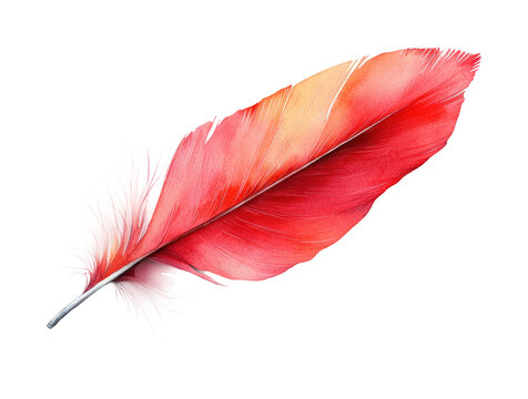 Fototapeta Vivid red feather watercolor high fidelity fine nature artistic concept isolated on transparent background png