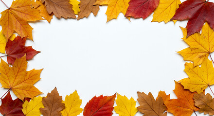 Minimalist Autumn Leaf Border White Background 