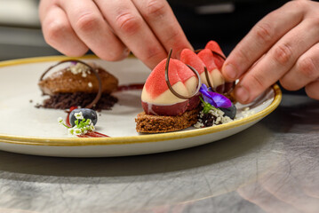 Chef Decorating Elegant Dessert Plate with Artistic Touch
