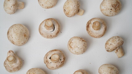 Fresh champignons mushroom isolated on white background