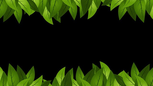 Tropical leaves animation. Frame with green leaves. Green leaves nature frame layout. Fresh green leaves. Transparent background with alpha channel