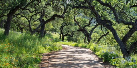 A serene pathway lined with vibrant flowers and lush trees, inviting exploration and nature appreciation.