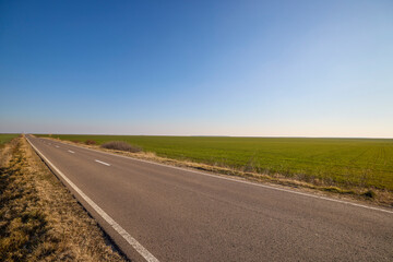 asphalt road through agricultural field