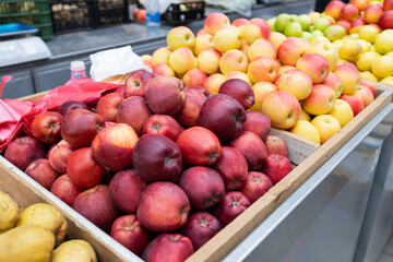 Vibrant display of fresh apples at a local market. The colorful assortment of red and green apples, neatly arranged in crates, invites shoppers to indulge in a healthy and delicious treat.