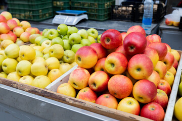 Vibrant display of fresh apples at a local market. The colorful assortment of red and green apples, neatly arranged in crates, invites shoppers to indulge in a healthy and delicious treat.
