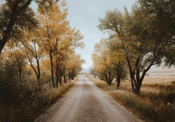 Obraz premium Dirt road lined with autumn trees leading to a distant hill.