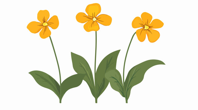 Detailed Mimulus Flower Isolated Flat Vector Illustration for Design Projects