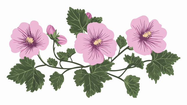 Detailed mallow flower isolated vector illustration on white background