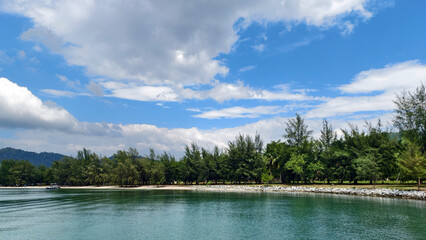 Tropical Beachfront with Clear Blue Sky and Lush Green Trees