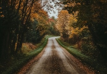 Obraz premium Winding country road through autumn forest.
