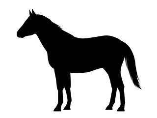 馬のシルエット_ベクターイラスト