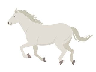 Obraz premium 走る白い馬のベクターイラスト