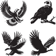  Eagle Silhouettes: Soaring, Perched, Diving, and Ascending in Grace, black and white silhouette of eagle isolated on white background, eagle illustration, eagle vector