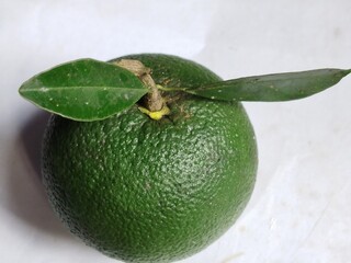 Green orange or raw orange on white copy space background natural organic fruit concept