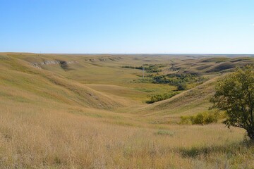 Fototapeta premium Scenic Wind Farm Landscape on a Bright Sunny Day with Clear Skies and Rolling Grasslands Under a Vast Open Horizon