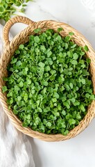 Freshly Harvested Microgreens in a Rustic Basket Overhead View, Minimalistic Food Photography