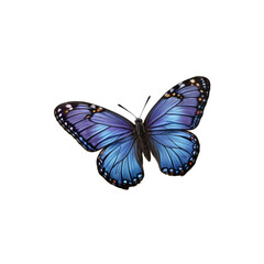 Blue Morpho Butterfly: An intricate and captivating blue morpho butterfly with vibrant iridescent wings, showcasing the beauty of nature's delicate artistry.  