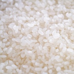 Close-up of sushi rice. Focused view of perfectly cooked sushi rice. Emphasizing texture and stickiness. Ideal for sushi recipes and Japanese cuisine blogs.