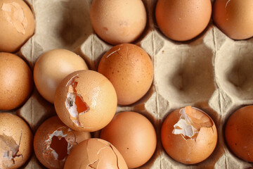 brown eggs in a basket